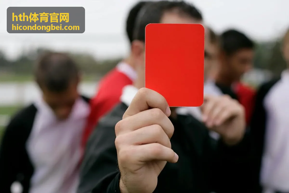 hth体育官网数据服务指标曲线示意